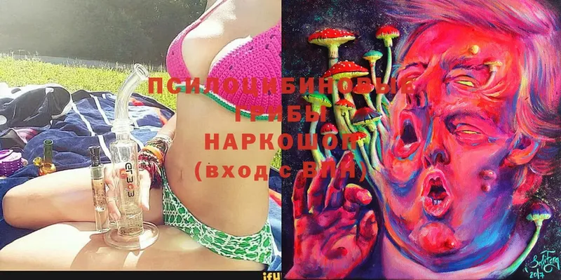 как найти закладки  Кизляр  Галлюциногенные грибы MAGIC MUSHROOMS 